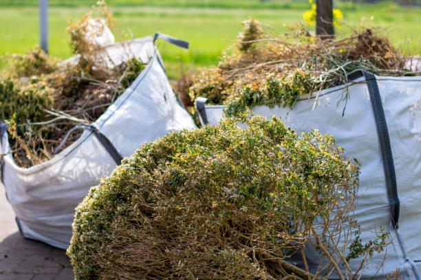 Best Carpet Removal and Disposal  in Marshall, IL